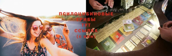 прущие крисы Беломорск