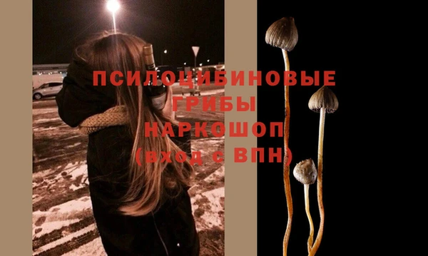 прущие крисы Беломорск