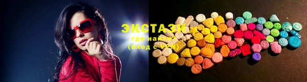 ECSTASY Ельня