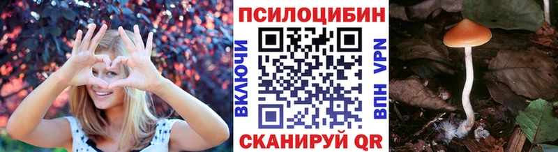 закладки  Велиж  Галлюциногенные грибы Psilocybine cubensis 